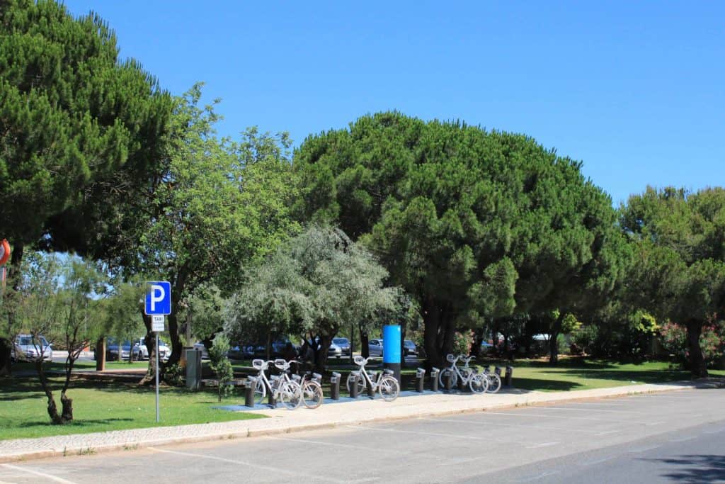 Rua arborizada e bicicletas em Vilamoura