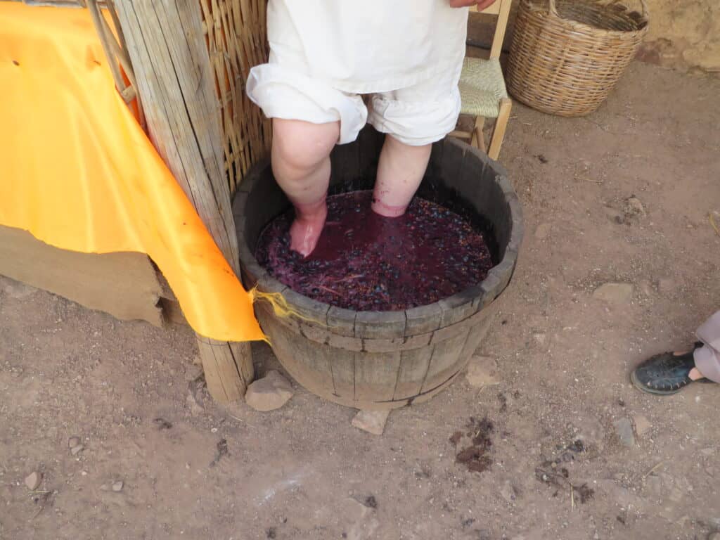 Making wine with the feet